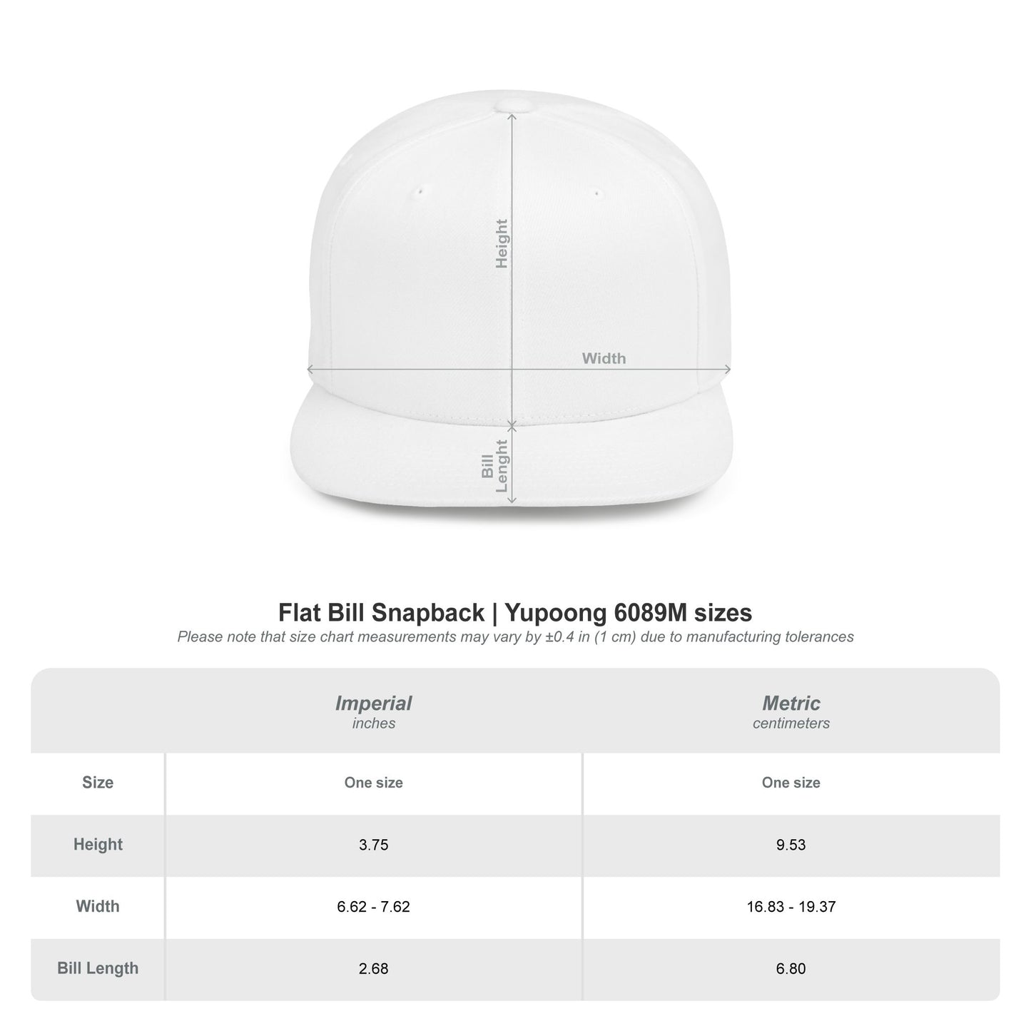 Stance Auto Flat Bill Snapback