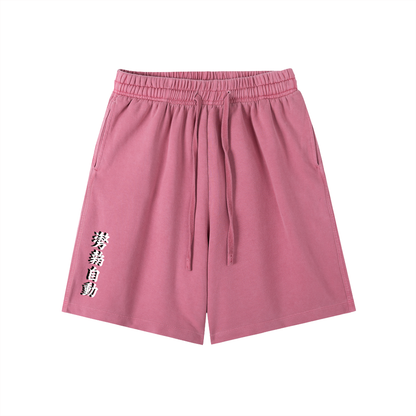 Stance Auto Kanji Vintage Wash Cotton Shorts