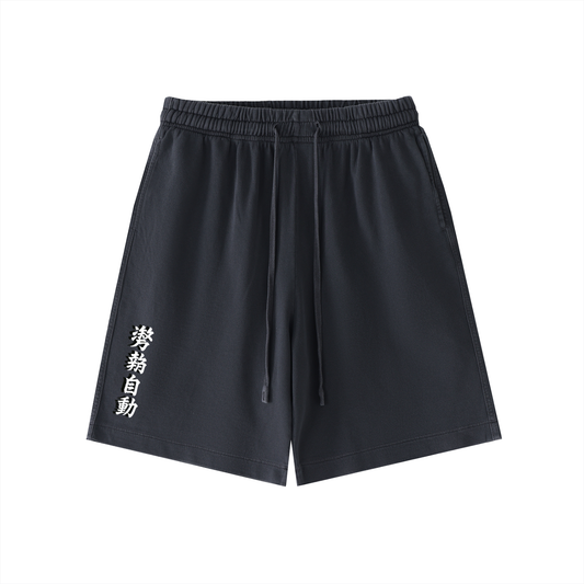Stance Auto Kanji Vintage Wash Pantalones cortos de algodón